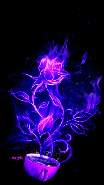 purplehorse99