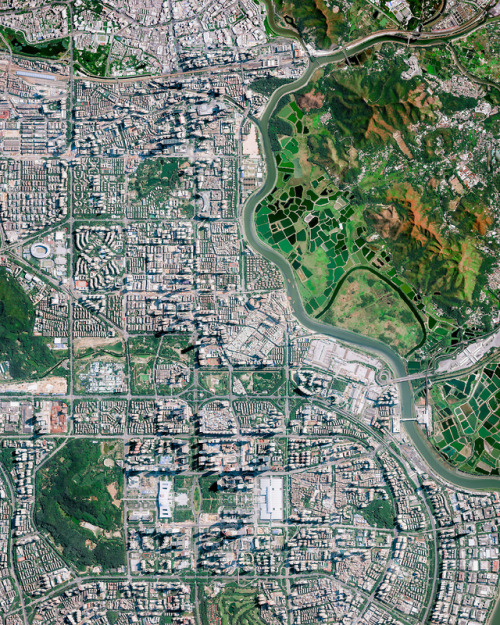 dailyoverview - Shenzhen, China, was one of the fastest-growing...