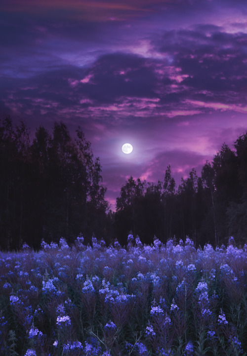 milamai:The Blue Flower Moon in full bloom, by Milamai