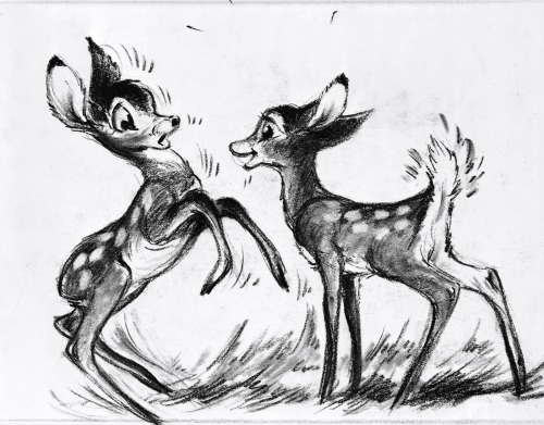 wannabeanimator - Bambi (1942) | designs by Marc Davis, Tyrus...
