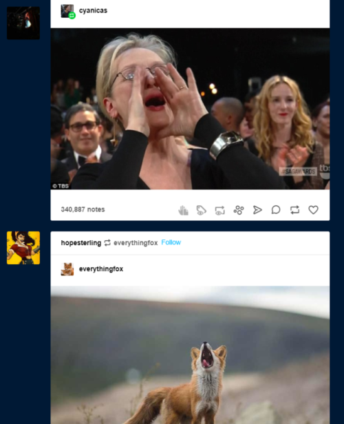 justlookatthosesausages - my dash blessed me today