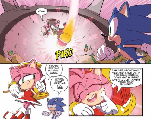 hello I would like to inform everyone that the IDW Sonic comics...