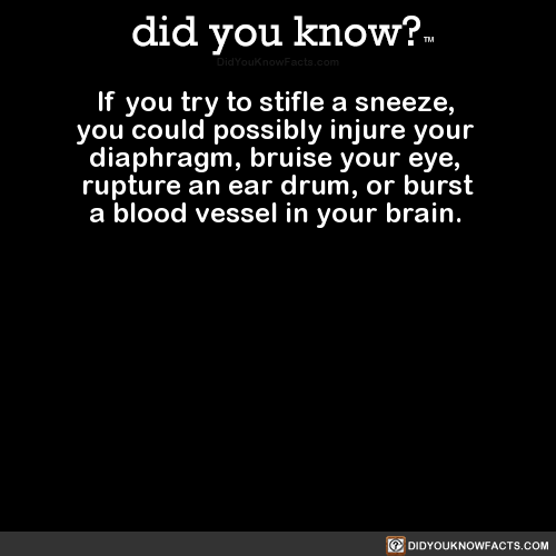 if-you-try-to-stifle-a-sneeze-you-could-possibly