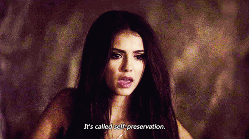 vd-gifs - What do you want me to say, Stefan? That I’m sorry for...