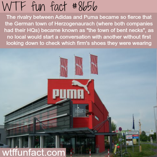 wtf-fun-factss - Adidas vs Puma - WTF fun facts