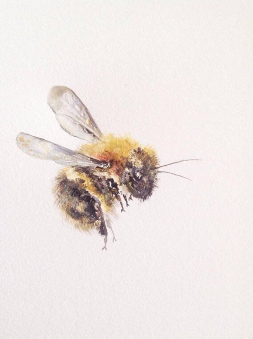 Bee in watercolor