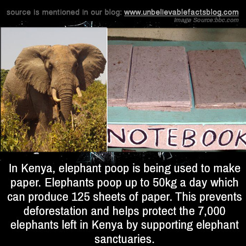 unbelievable-facts - In Kenya, elephant poop is being used to...