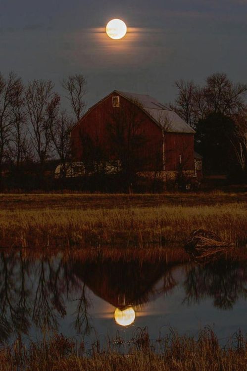 requiem-on-water - Super Moon and Barn Series byPatti Deters