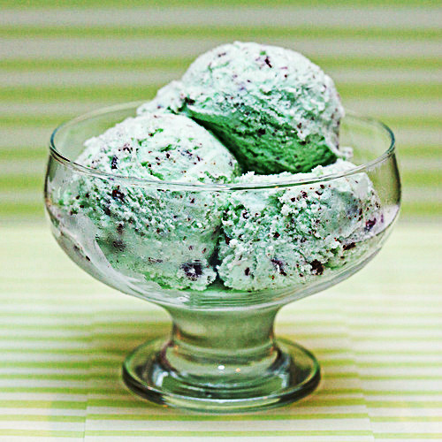 everybody-loves-to-eat - mint chocolate chip ice cream