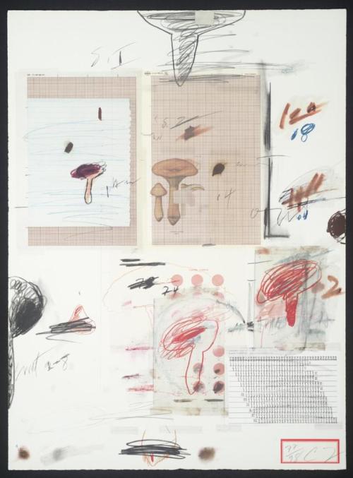 dayintonight - From Cy Twombly’s Natural History, Mushrooms...