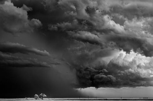 semioticapocalypse - Mitch Dobrowner. Trees-Clouds[ - - SemAp...