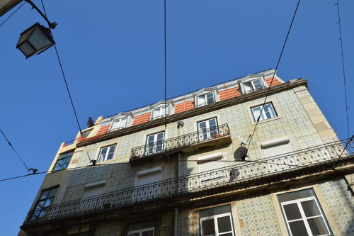 milkywayrollercoaster:Lisbon on the runphotos cjmn