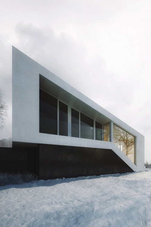 livingpursuit:Slanted House by Michal Nowak