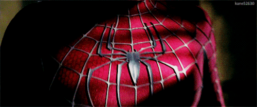 kane52630:Spider-Man 2 (2004)