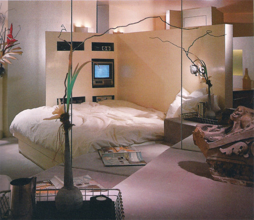 zonkout - Lew Dolin interior