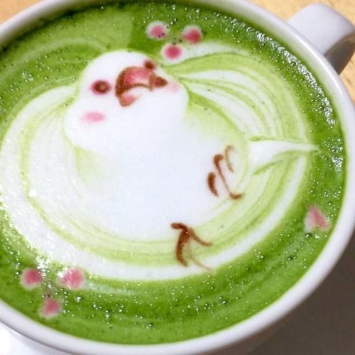 goopyshark - chucabo - nae-design - Stunning froth masterpieces by...