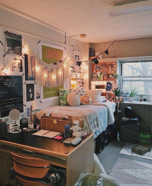 dorm room on Tumblr