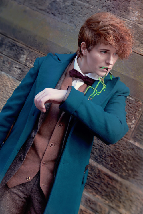 fahrlight - Newt Scamander ( “Fantastic Beasts​ and where to...