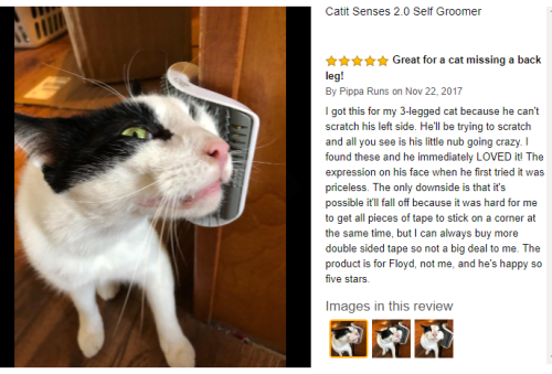 chemicalkin - I’m not over this review of a self groomer for a...