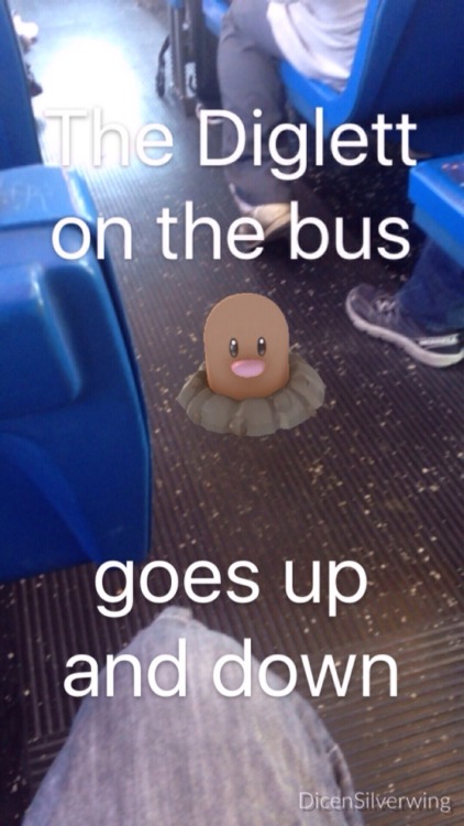 Caught this little bugger on the bus earlier this week. Showed...