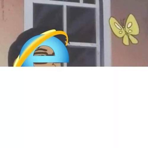 programmerhumour - Internet Explorer