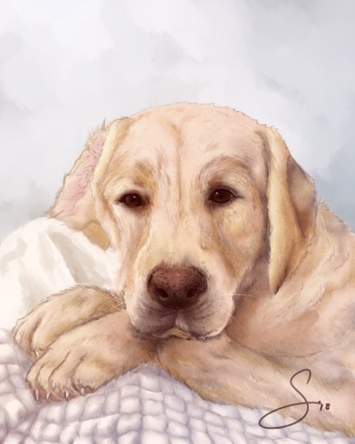 Palmer Pet Portrait CommissionFamily friend and neighbor...