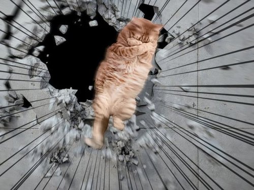 highlandvalley - うちの猫の寝姿マジスーパーヒーローなので友人が加工してくれました。https - //twitter...