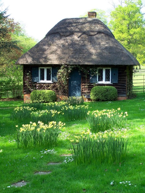 andallshallbewell - English cottage