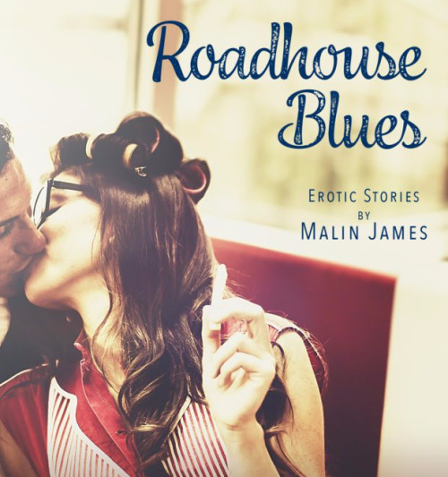 (via Book Review - Roadhouse Blues by Malin James) @brosandprose...