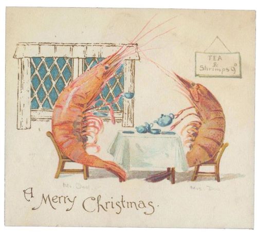 weirdchristmas - entophiles - Merry Christmas and Happy Holidays...