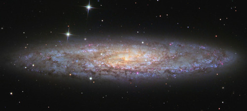 NGC 253: Dusty Island Universe : Shiny NGC 253 is one of the...