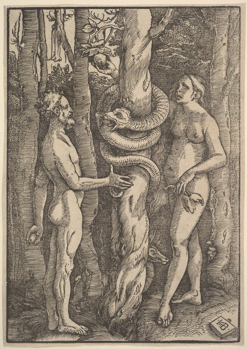 met-drawings-prints - Adam and Eve by Hans Baldung, Drawings and...