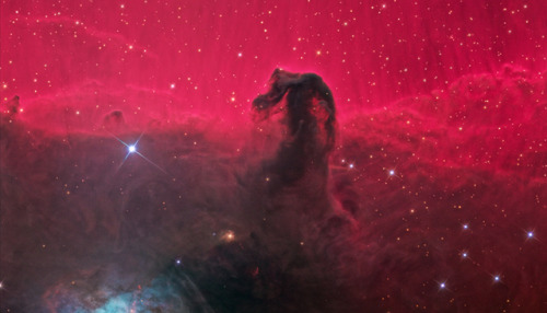 space-wallpapers - The Horsehead Nebula in Red ...