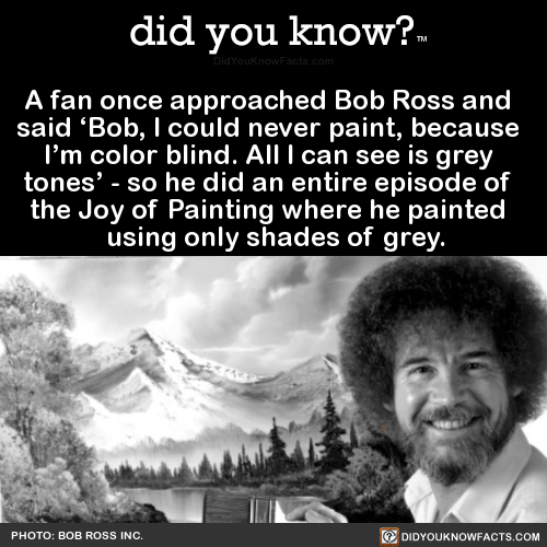 a-fan-once-approached-bob-ross-and-said-bob-i