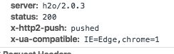 <code>x-http2-push: pushed</code> header