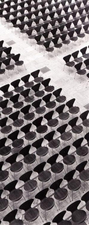 soudasouda - Lucky number 7 Iconic Series Seven chair by Arne...