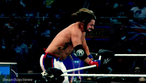 wrestlingmerch - AJ Styles Drawstring BagAmazon - $10.49