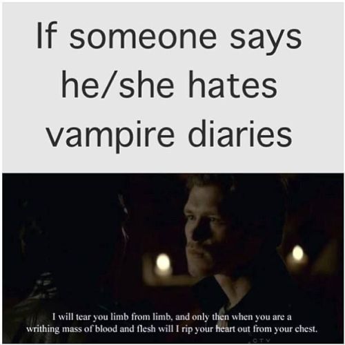 the vampire diaries quotes on Tumblr