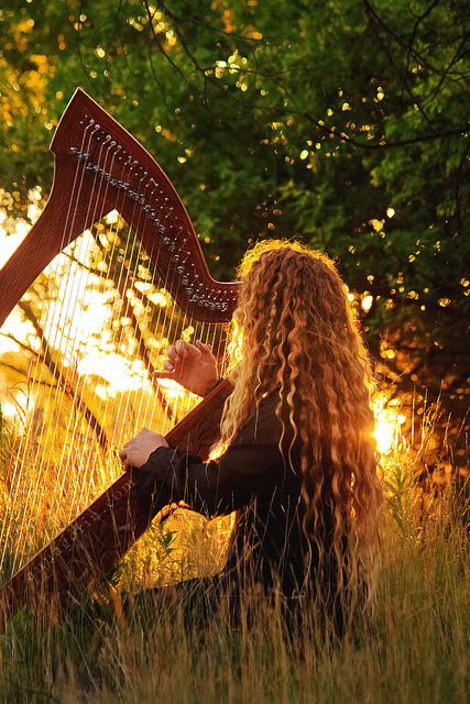 followthewestwind - Harpist at sunset, II by Anna Gorin on...
