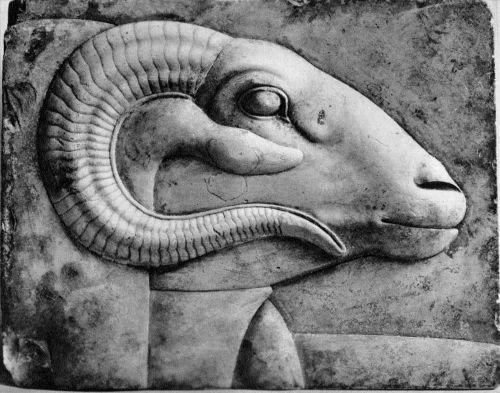 grandegyptianmuseum:Relief plaque with ram’s head from a god’s...