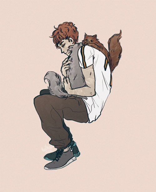 coldcigarettes - will i ever learn how to draw animals………....