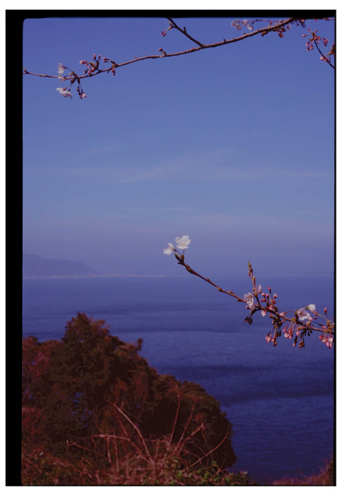 ellanmwebb2:Nokonoshima and Mt. Aso. Photographs from my...