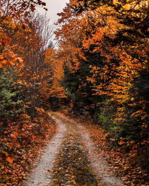 seasonsprincess:autumncozy:By mitchellmessanawarm and cozy...