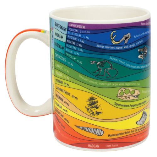 novelty-gift-ideas - Geologic Time Mug