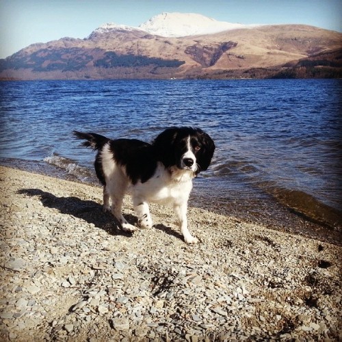Loch Lomond with my little fur baby - )