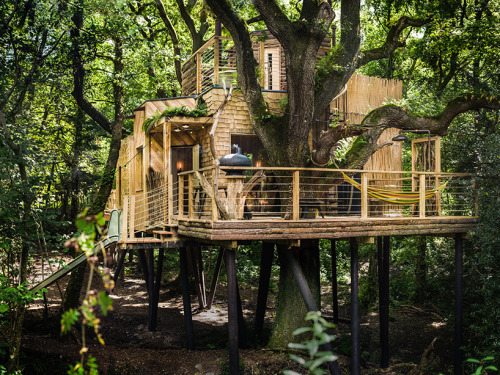 thedesigndome - Luxury Treehouse Hosts Modern Facilities Designed...