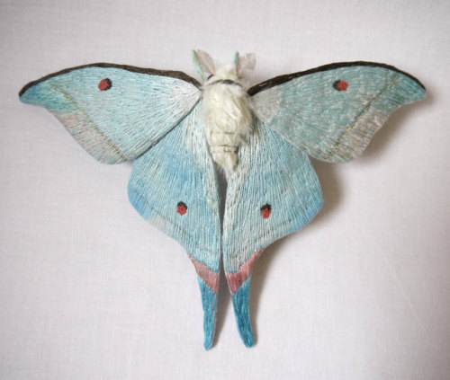 thepehbat - kimveee - sosuperawesome - Moth and Butterfly Fibre...