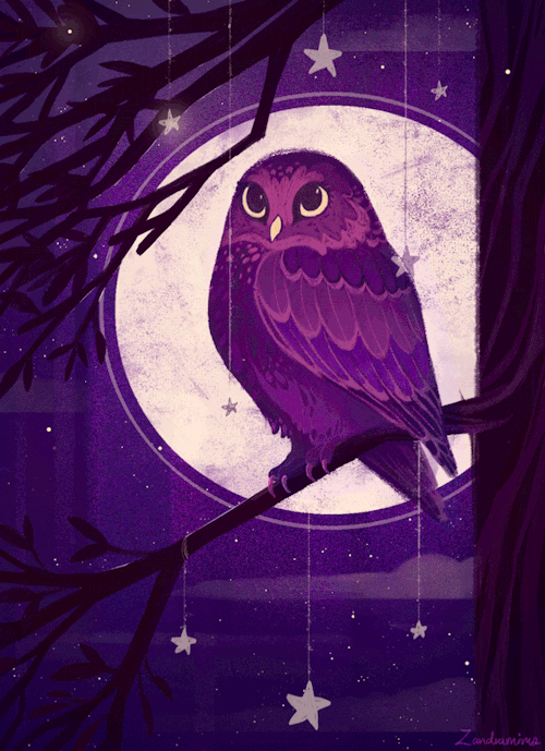 zandrami - Night Owl  