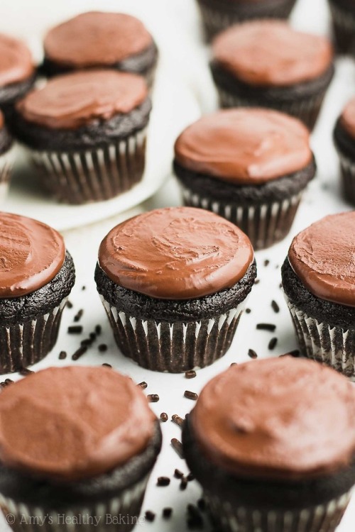fullcravings - Healthy Small Batch Mini Chocolate Cupcakes