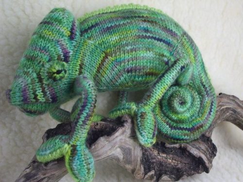 knithacker - Amazing Knit Chameleon - He’s a Champion Lounger and...